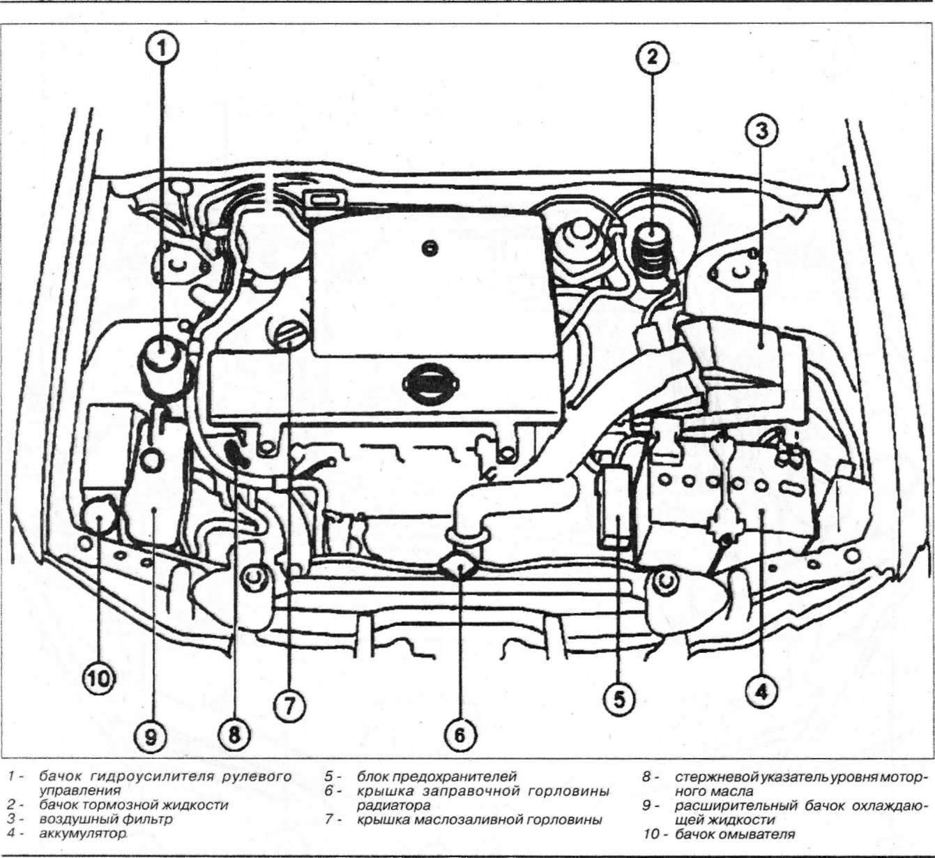 Руководство по ремонту nissan primera p12. часть 7.